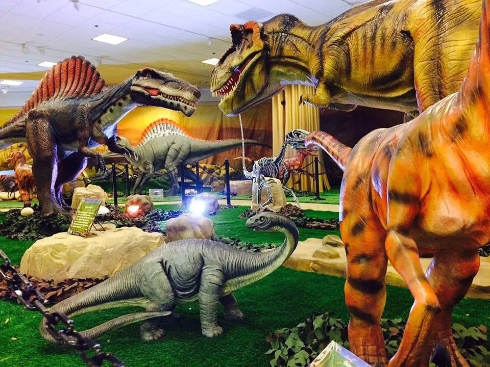 Wonder of Dinosaurs | Questroom