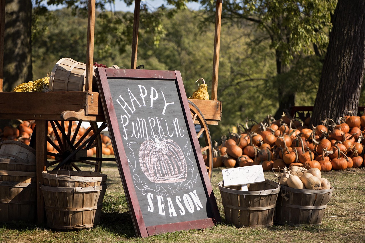 Things to do in Dallas in October